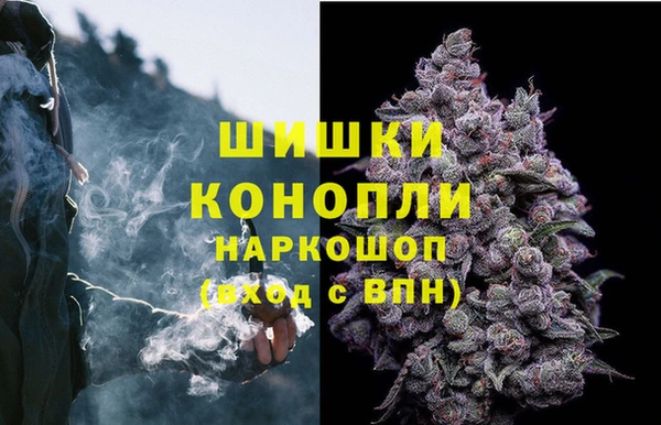трава Балахна